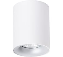 Потолочный светильник Arte Lamp TORRE A1532PL-1WH
