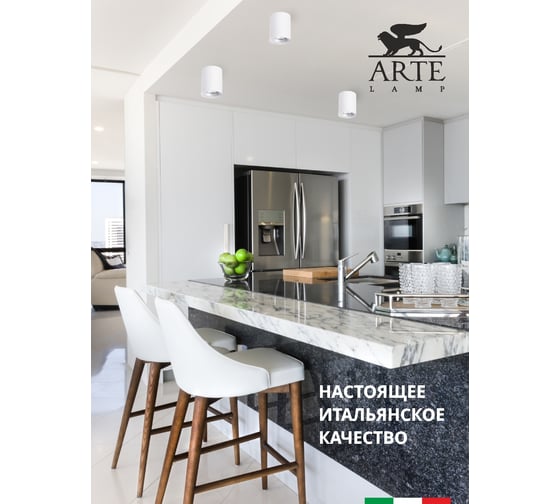 Потолочный светильник Arte Lamp TORRE A1532PL-1WH