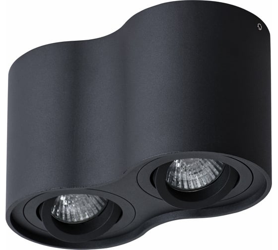 Потолочный светильник Arte Lamp FALCON A5645PL-2BK