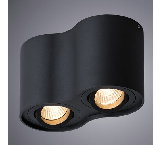 Потолочный светильник Arte Lamp FALCON A5645PL-2BK