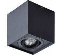 Потолочный светильник Arte Lamp FACTOR A5544PL-1BK