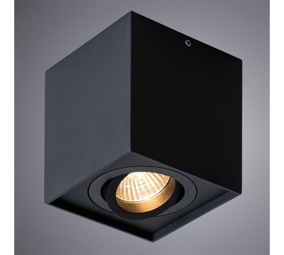 Потолочный светильник Arte Lamp FACTOR A5544PL-1BK