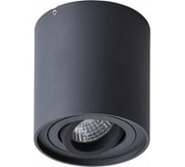Потолочный светильник Arte Lamp FALCON A5645PL-1BK