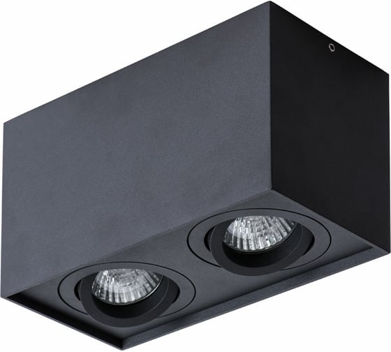 Потолочный светильник Arte Lamp FACTOR A5544PL-2BK