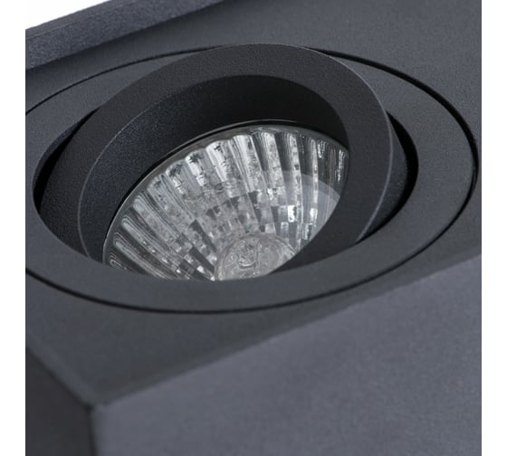 Потолочный светильник Arte Lamp FACTOR A5544PL-2BK