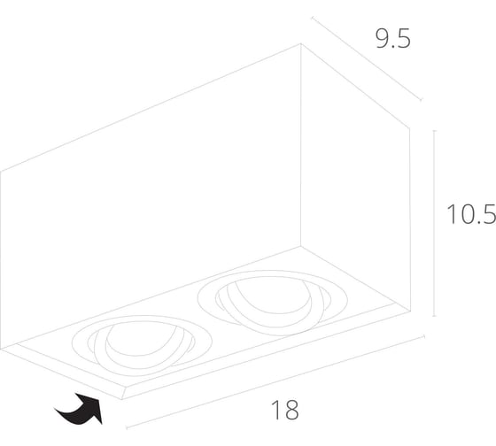 Потолочный светильник Arte Lamp FACTOR A5544PL-2BK
