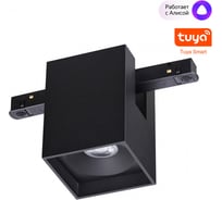 Трековый низковольтный светильник NOVOTECH SHINO NT24 000 черный, диммируемый, со сменой цветовой температуры, пульт ДУ/Tuya Smart Life IP20 LED 10W 48V 3000-6000K FLUM 359519