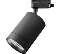Трековый светодиодный светильник Lightstar 303272