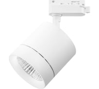 Трековый светодиодный светильник Lightstar 301262