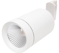 Трековый светодиодный светильник Lightstar 303262