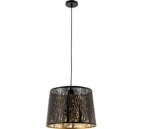Подвесной светильник Arte Lamp CELESTA A2769SP-1BK