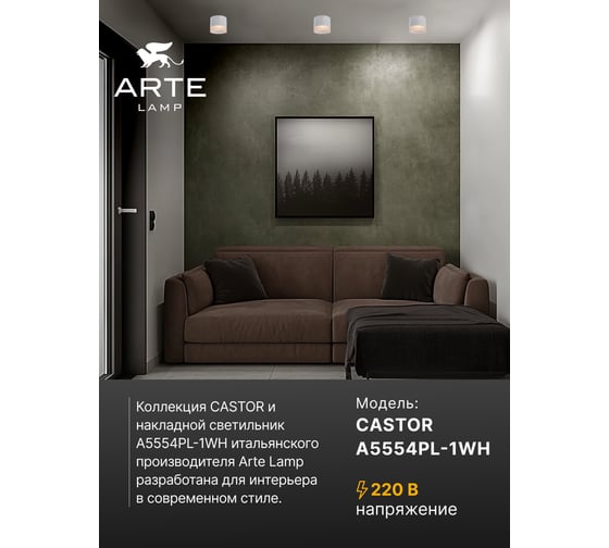 Потолочный светильник Arte Lamp CASTOR A5554PL-1WH