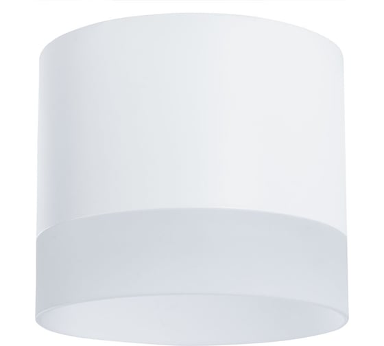 Потолочный светильник Arte Lamp CASTOR A5554PL-1WH
