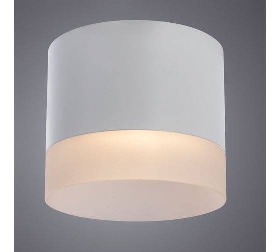Потолочный светильник Arte Lamp CASTOR A5554PL-1WH