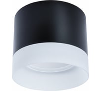 Потолочный светильник Arte Lamp CASTOR A5554PL-1BK