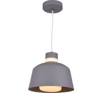 Подвес HIPER 1хЕ27х60Вт SILVER/CHROME H092-6
