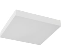 Светодиодный светильник FERON AL267 накладной 12W 6400K белый, 51914