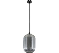 Подвесной светильник Arte Lamp ARWEN A1903SP-1BK