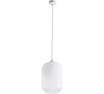 Подвесной светильник Arte Lamp ARWEN A1903SP-1WH