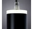 Подвесной светильник Arte Lamp ALTAIS A6110SP-2BK 3