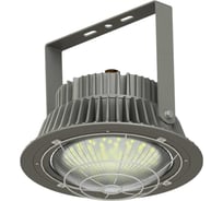 Светодиодный светильник Acorn 150 (5000К, 120) FOS LEG-150-N-M-IP65