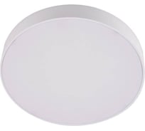Накладной светильник Lumina Deco Wilton LDC 8099-ROUND-PM-30WSMD-D225хH35 WT