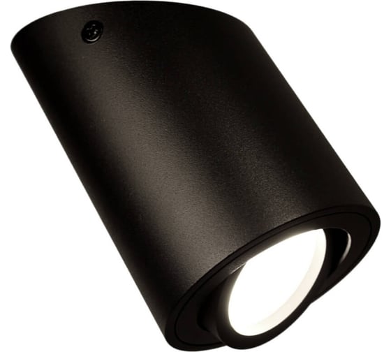 Настенно-потолочный светильник Lumina Deco Alesti LDC 8060-D JP-D80хH130 BK