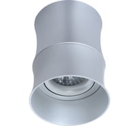 Потолочный светильник Lumina Deco Riston LDC 8053-C SS-D85хH115 SL