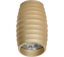 Потолочный светильник Lumina Deco Grost LDC 8052-C SS-D70хH115 GD