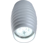 Потолочный светильник Lumina Deco Split LDC 8052-B SS-D70хH115 SL