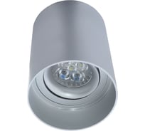 Потолочный светильник Lumina Deco Flixton LDC 8053-A SS-D85хH115 SL