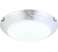 Настенно-потолочный светильник HIPER LED 12Вт SILVER H801-0