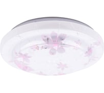 Светильник потолочный светодиодный LED СПС 11 15Вт 4000К D35см, Астра TDM ELECTRIC SQ0329-0161