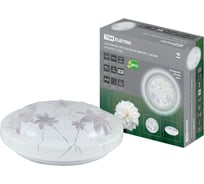 Светодиодный светильник TDM ELECTRIC LED СПС 11 15Вт 4000К D35см, Астра SQ0329-0161