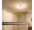 Светильник потолочный светодиодный LED СПС 11 15Вт 4000К D35см, Астра TDM ELECTRIC SQ0329-0161 8