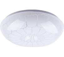 Светильник потолочный светодиодный LED СПС 03 22Вт с изменением яркости и цвета 2700К-6500К D35см, Паутина TDM ELECTRIC SQ0329-0173