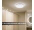Светильник потолочный светодиодный LED СПС 10 15Вт 4000К D35см, Капучино TDM ELECTRIC SQ0329-0160 8