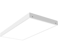 Светильник ЗСП Alenka LED-56-845-56 Opal 709005656