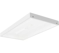 Светильник ЗСП Alenka LED-56-845-26 705005626