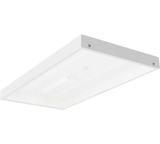 Светильник ЗСП Alenka LED-19-845-24 705419024 1