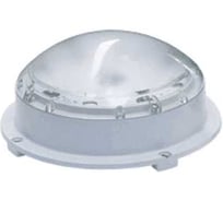 Светильник ЗСП Disk LED-10-001 865 716610001