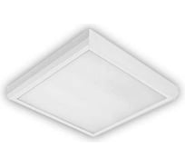Светильник ЗСП Classic LED Т8/S-418-53 Opal 704401853