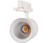 Светильник светодиодный трековый трехфазный Jazzway 3P PTR 7030 30Вт 3000K 36град. WH белый IP40 5062733