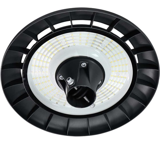 Светильник Jazzway PGL 05 60Вт 5000K IP65 BL AC160-265В парковый 5060036