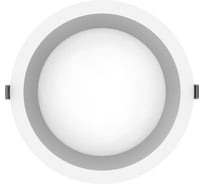 Светильник светодиодный DURAY Дюрэй Карелия 13W-ДН20 D190 W D0008186