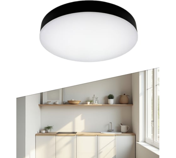 Светильник светодиодный truEnergy накладной, круг, 22W, 4000K, 1800Lm, D205мм, IP20, черный, пластик 11165