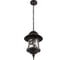 Уличный подвесной светильник LOFT IT Prato 100021P 3