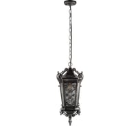 Уличный подвесной светильник LOFT IT Tremezzo 100019P BS