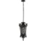 Уличный подвесной светильник LOFT IT Tremezzo 100019P BS 1
