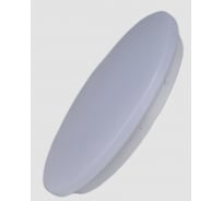 Светильник светодиодный truEnergy «звездное небо» накладной круг 12W 1200Lm 4000K D260мм IP20 белый/металл 11214